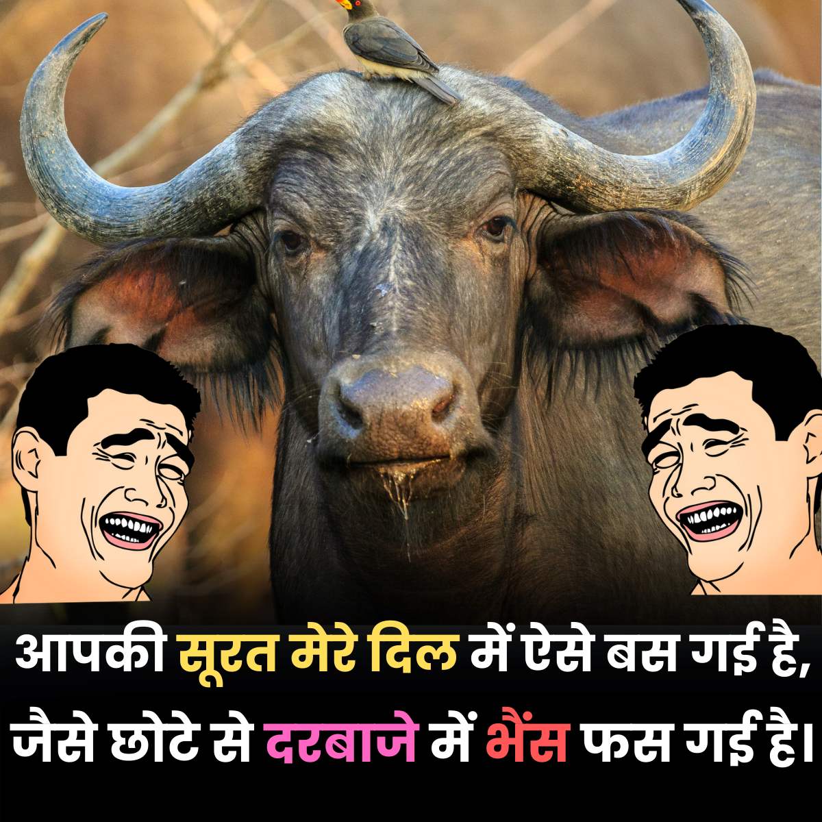 Apki Surat Tareef Majakiya Shayari