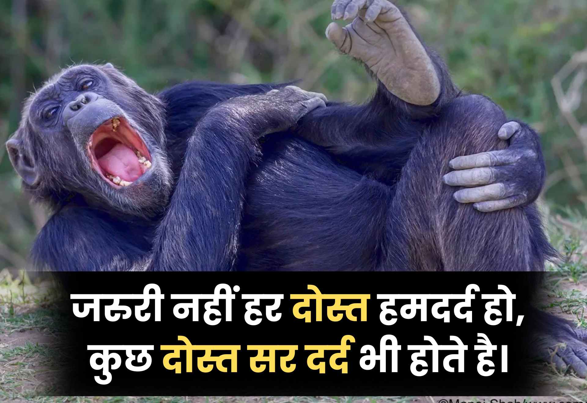 Funny Friendship Shayari