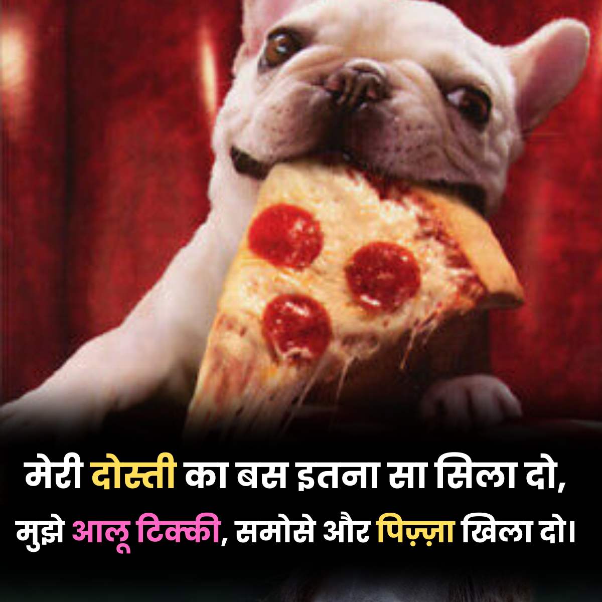 Short Funny Friendship Shayari