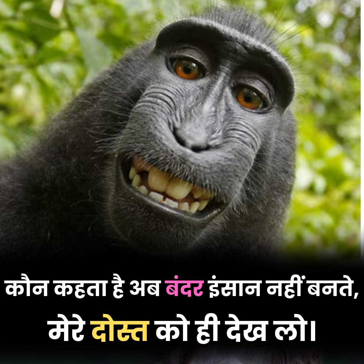 Smiling monkey with Funny Friendship text