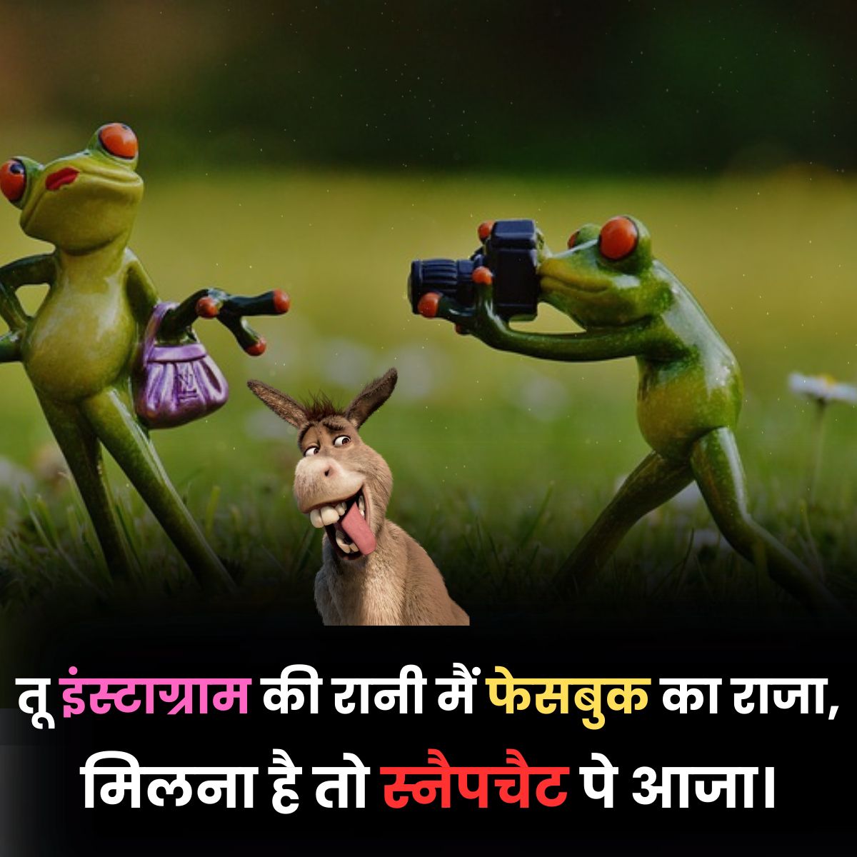 Instagram Funny Shayari Line